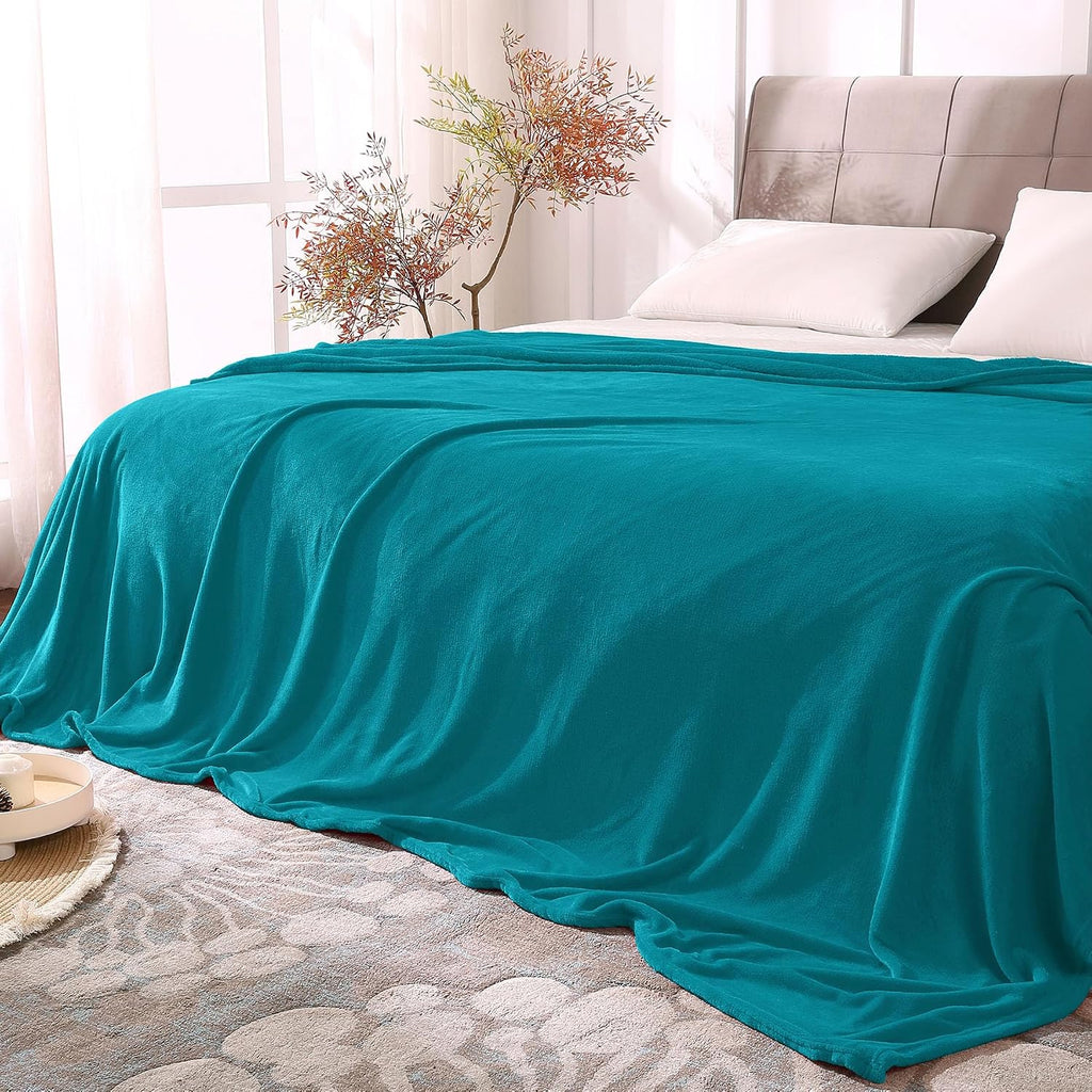 BEDELITE Fleece Blanket Black Throw Blankets for Couch & Bed, Luxury Plush Cozy Fuzzy Blanket 50x60 inches, Super Soft Warm Lightweight Throw Blanket for Travel Camping